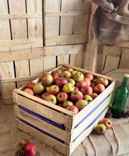 Holzkiste, 25 Kilo mit Boskoop Äpfeln