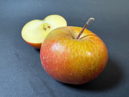 Boskoop Apfel Nahaufnahme einer ganz und einer halb aufgeschnitten